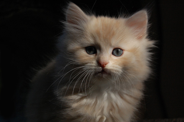 was für ein süßer Fratz.jpg